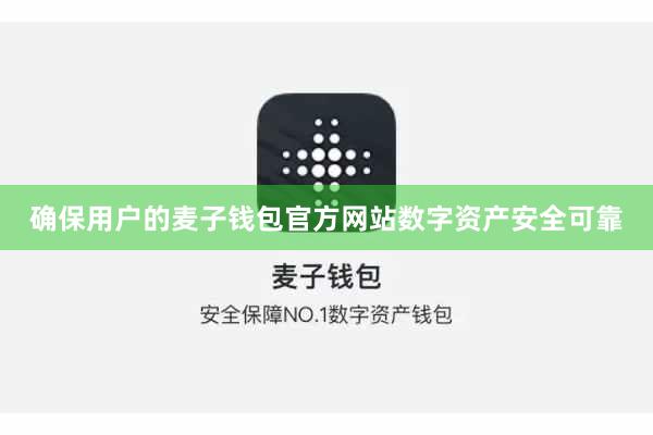 确保用户的麦子钱包官方网站数字资产安全可靠