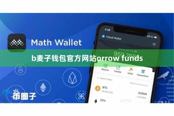 b麦子钱包官方网站orrow funds