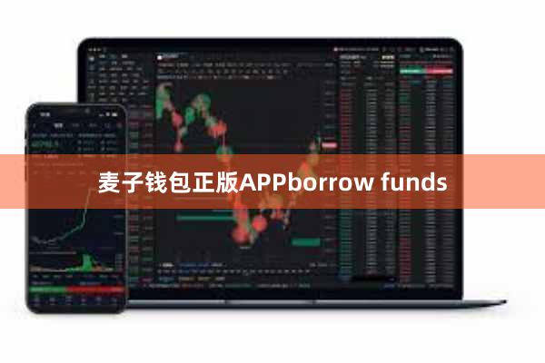 麦子钱包正版APPborrow funds