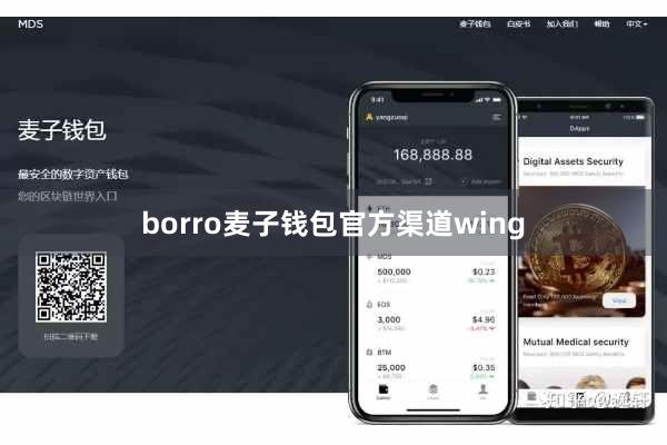 borro麦子钱包官方渠道wing