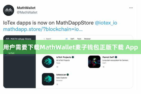用户需要下载MathWallet麦子钱包正版下载 App