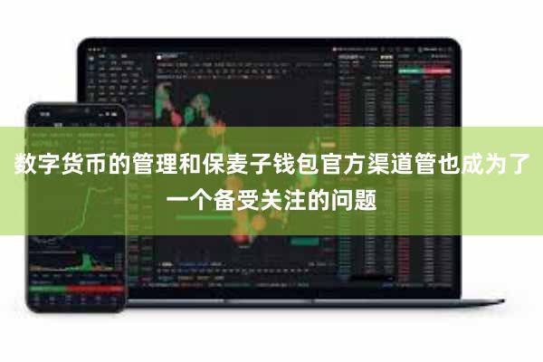 数字货币的管理和保麦子钱包官方渠道管也成为了一个备受关注的问题