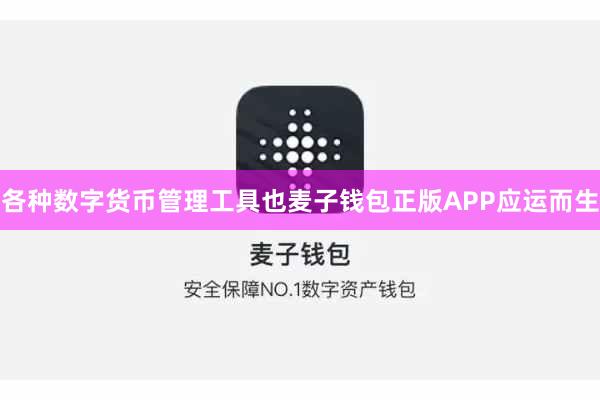 各种数字货币管理工具也麦子钱包正版APP应运而生