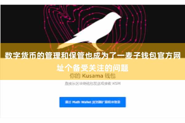 数字货币的管理和保管也成为了一麦子钱包官方网址个备受关注的问题