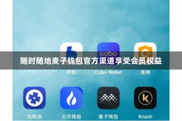 随时随地麦子钱包官方渠道享受会员权益