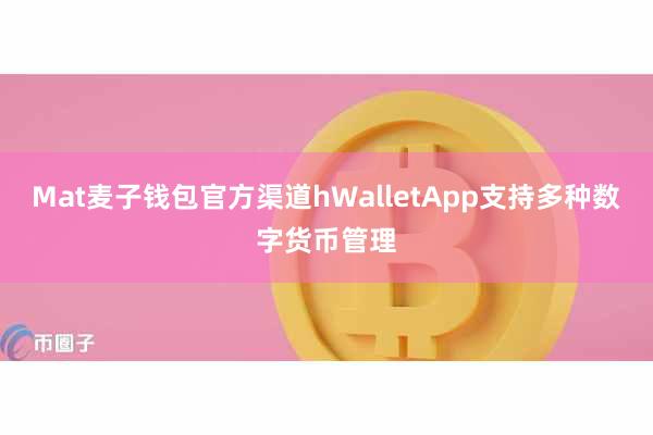Mat麦子钱包官方渠道hWalletApp支持多种数字货币管理
