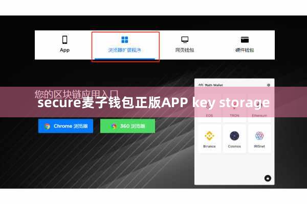secure麦子钱包正版APP key storage