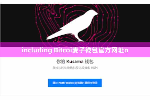 including Bitcoi麦子钱包官方网址n