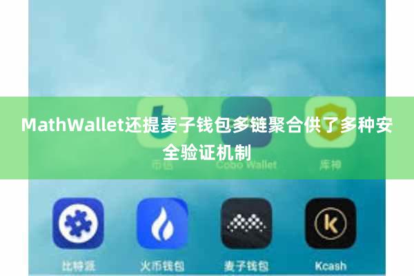 MathWallet还提麦子钱包多链聚合供了多种安全验证机制