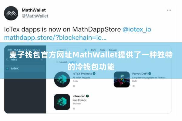 麦子钱包官方网址MathWallet提供了一种独特的冷钱包功能
