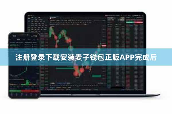 注册登录下载安装麦子钱包正版APP完成后