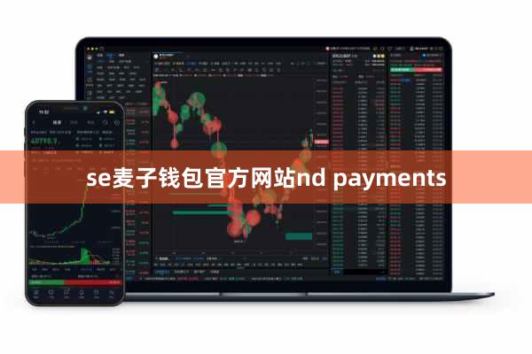 se麦子钱包官方网站nd payments