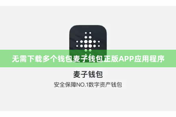 无需下载多个钱包麦子钱包正版APP应用程序