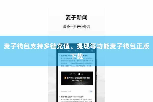 麦子钱包支持多链充值、提现等功能麦子钱包正版下载