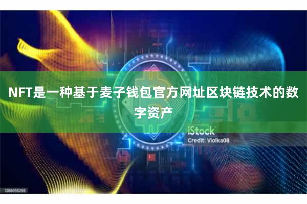 NFT是一种基于麦子钱包官方网址区块链技术的数字资产