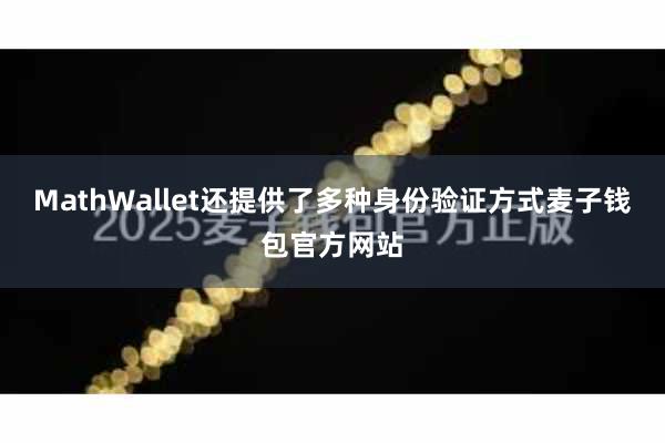 MathWallet还提供了多种身份验证方式麦子钱包官方网站