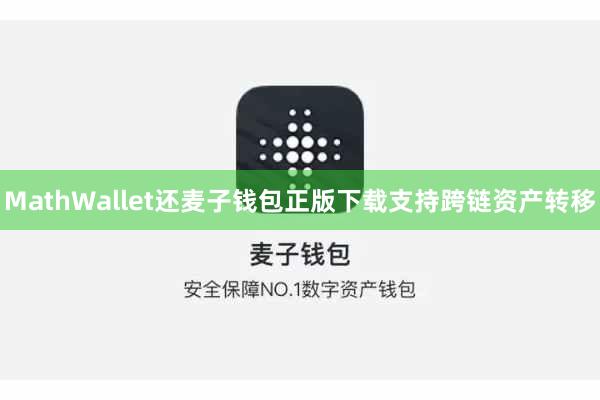 MathWallet还麦子钱包正版下载支持跨链资产转移