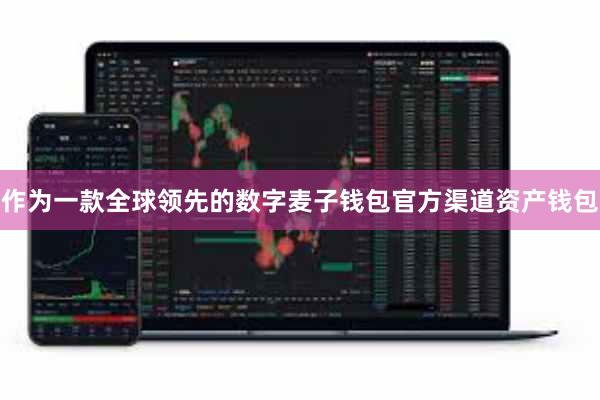 作为一款全球领先的数字麦子钱包官方渠道资产钱包